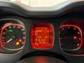 Fiat Panda 1.0 FireFly 70cv S&S Hybrid Cross Weiß - thumbnail 13