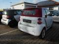 smart forTwo smart fortwo cabrio AUTOMATIK /Klima/Alu/ Blanc - thumbnail 3