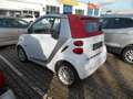 smart forTwo smart fortwo cabrio AUTOMATIK /Klima/Alu/ Blanc - thumbnail 5