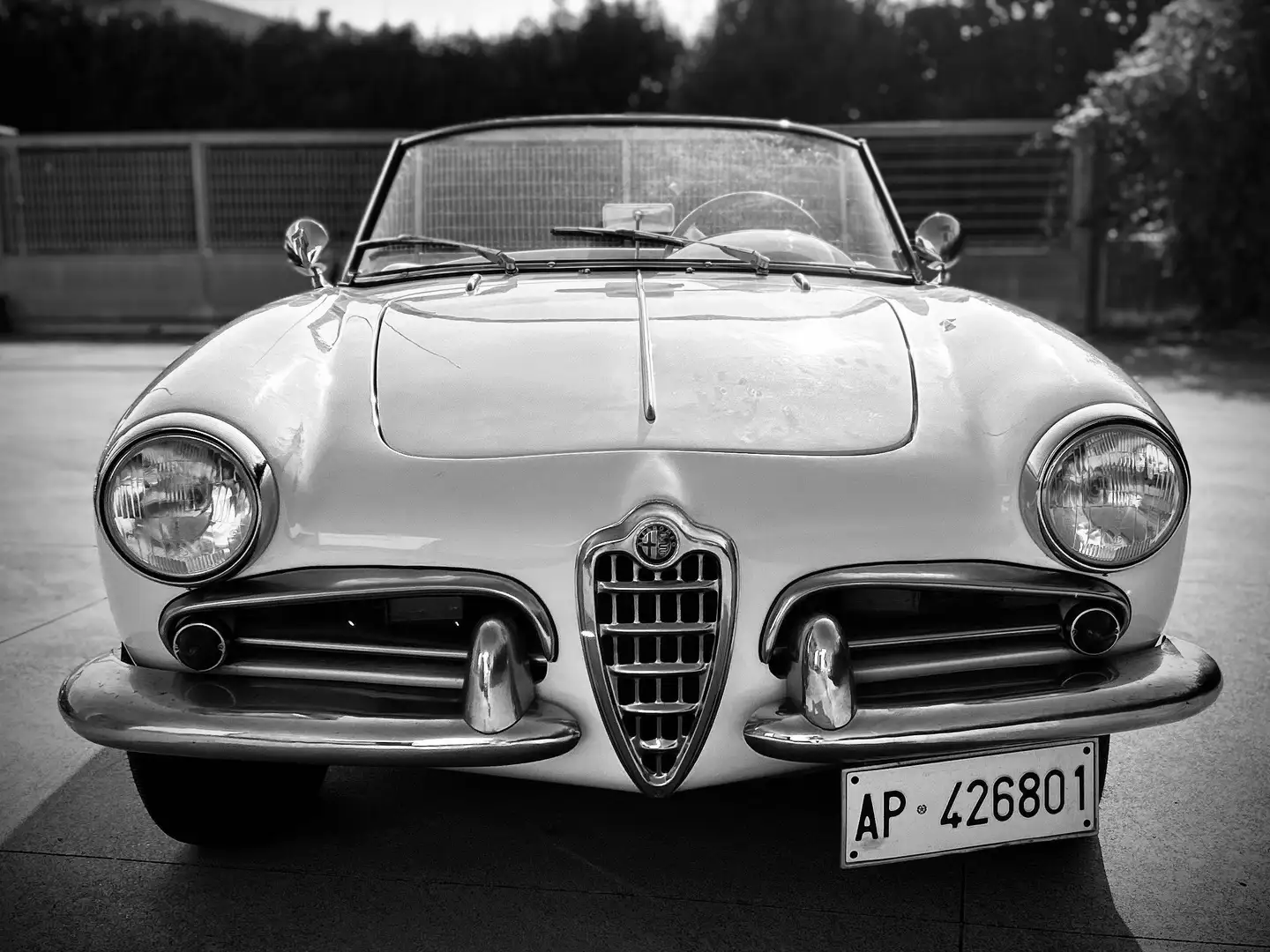 Alfa Romeo Giulietta Spider 1.3 Litri Bialbero - Stile Pinin Farina Blanc - 1