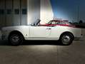 Alfa Romeo Giulietta Spider 1.3 Litri Bialbero - Stile Pinin Farina Blanc - thumbnail 4