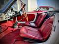 Alfa Romeo Giulietta Spider 1.3 Litri Bialbero - Stile Pinin Farina Blanc - thumbnail 8