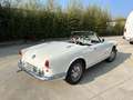 Alfa Romeo Giulietta Spider 1.3 Litri Bialbero - Stile Pinin Farina Blanc - thumbnail 6