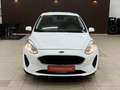 Ford Fiesta Trend Weiß - thumbnail 5