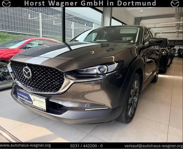 Mazda CX-30 Selection 186 PS *Leder*Design*Premium-Paket*