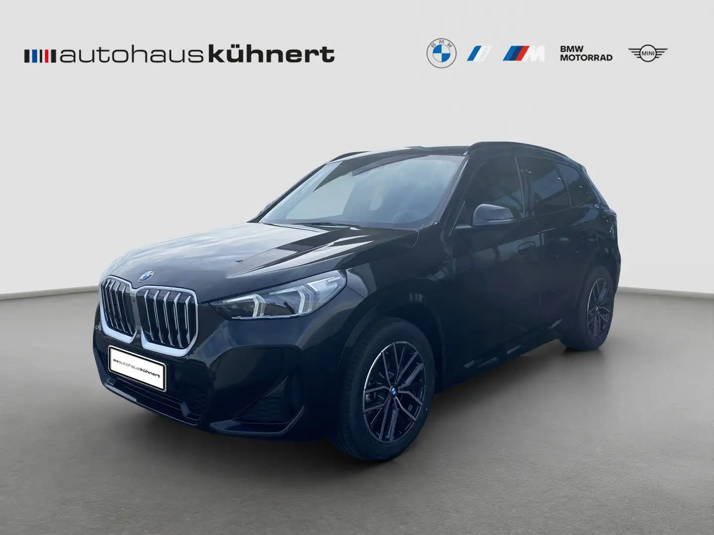 BMW X1 sDrive 18d ///M-Sport LED SpurAss AHK HiFi DAB Schwarz - 1
