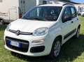 Fiat Panda Panda III 2012 0.9 t.air t. natural power 80cv Bianco - thumbnail 1