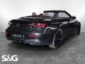 Mercedes-Benz CLE 220 d AMG Cabrio AHK+360°+NIGHT+LEDER BRAUN Grau - thumbnail 3