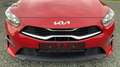Kia Ceed / cee'd CEED III 1,5 T-GDi  Best DAB Navi Rückfahrk Rouge - thumbnail 5