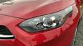 Kia Ceed / cee'd CEED III 1,5 T-GDi  Best DAB Navi Rückfahrk Rouge - thumbnail 6