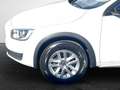 Volvo V60 Cross Country Pro Weiß - thumbnail 5