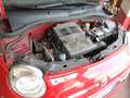 Fiat 500 FORTI SCONTI X CESSATA ATTIVITA' Rouge - thumbnail 28