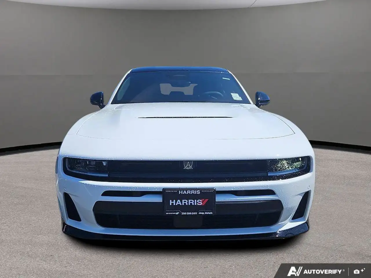 Dodge Charger снимка Dodge Charger