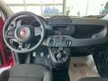 Fiat Panda 1.0 FireFly Hybrid Rosso - thumbnail 5