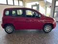 Fiat Panda 1.0 FireFly Hybrid Rosso - thumbnail 11