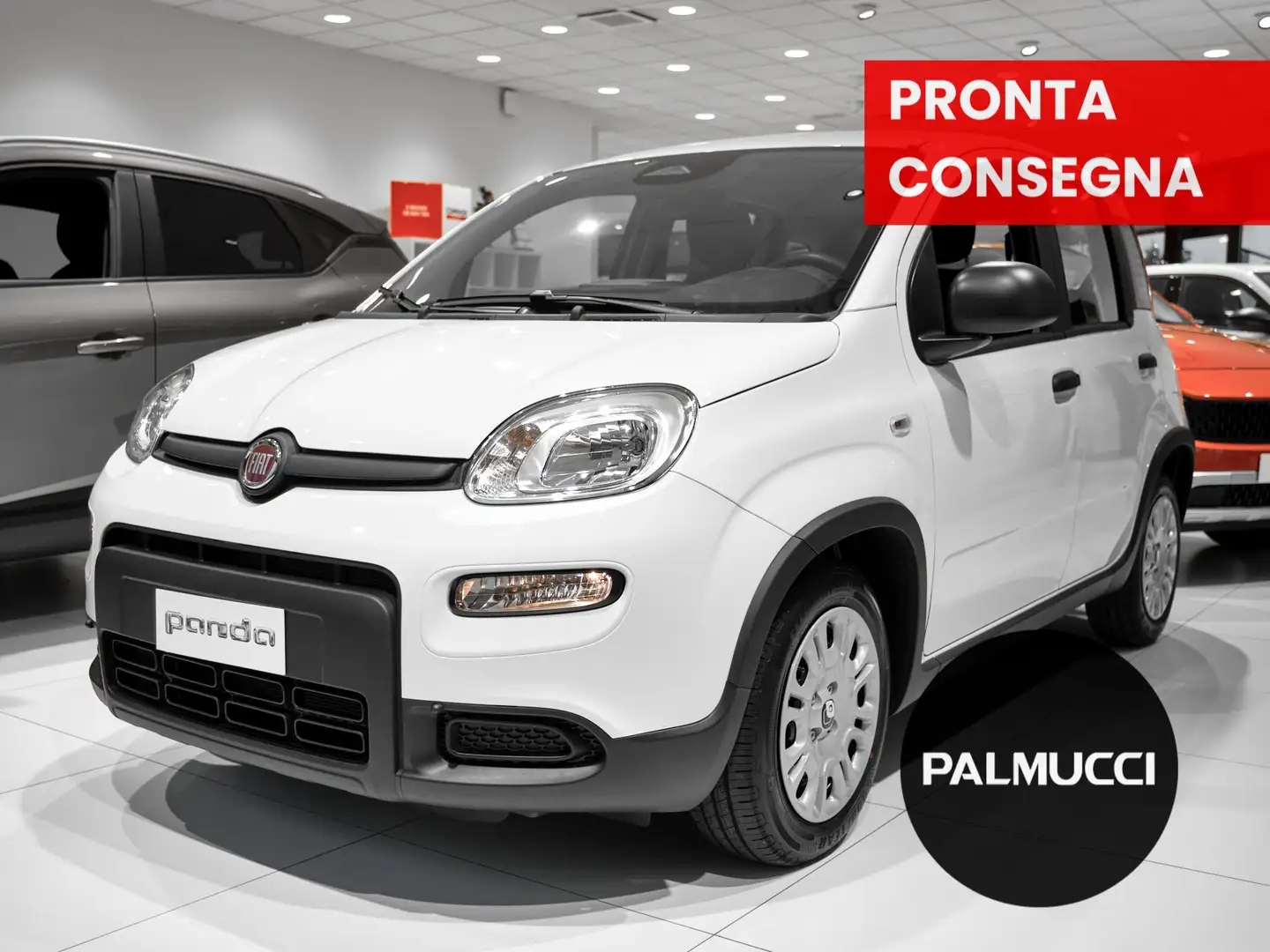 Fiat Panda 1.0 70cv Hybrid Bianco - 1