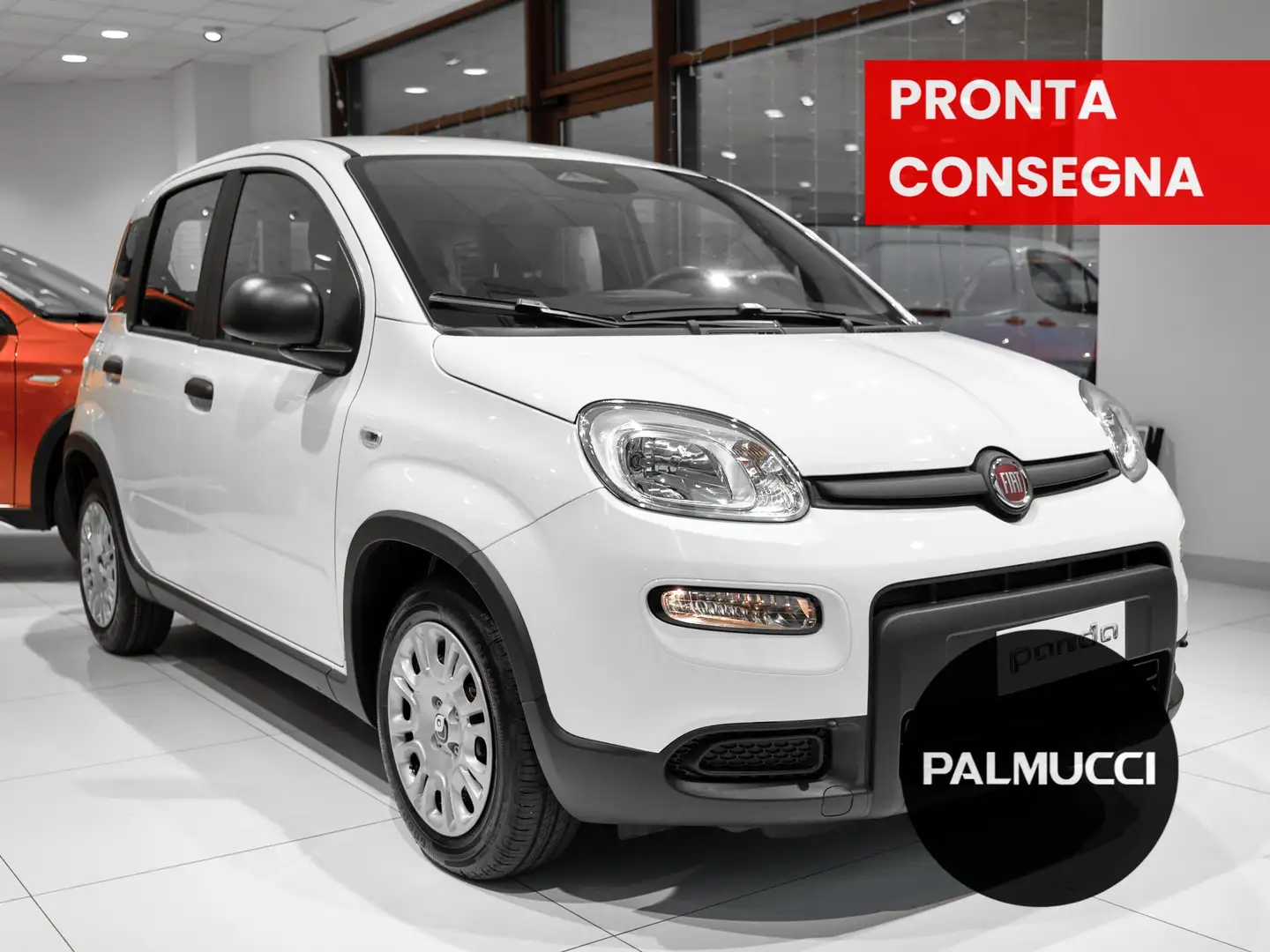 Fiat Panda 1.0 70cv Hybrid Bianco - 2