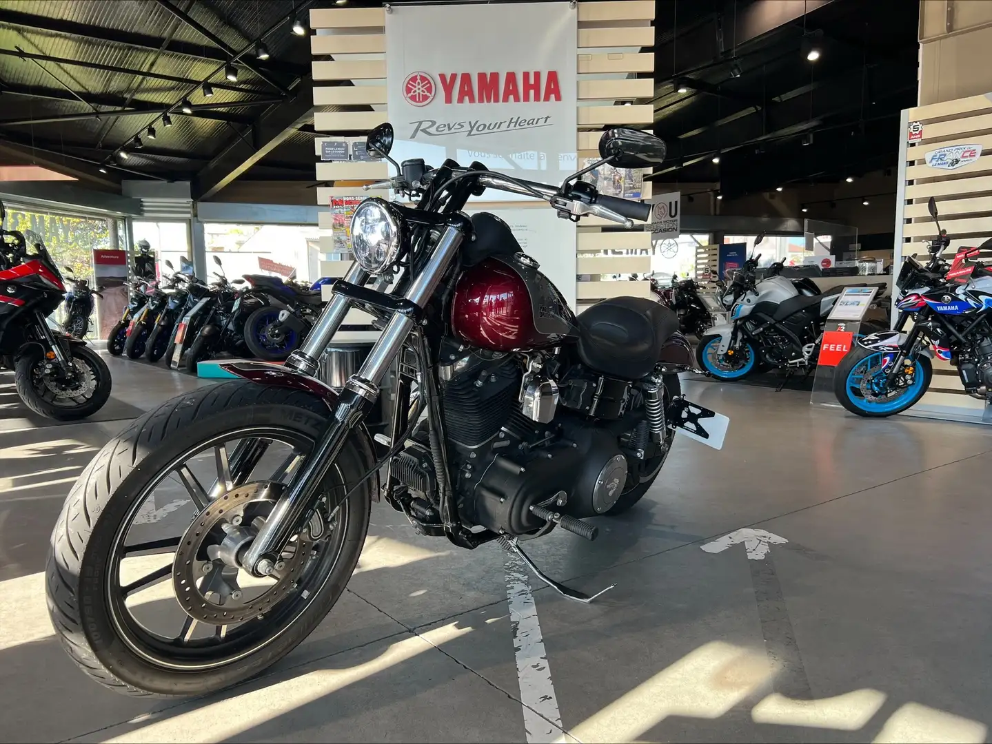 Harley-Davidson Dyna Street Bob Rouge - 2