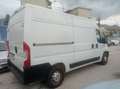 Citroen Jumper Blanco - thumbnail 4