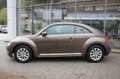 Volkswagen Beetle Lim. Design 1.2 TSI BT,NSW,Klima,SHZ Marrón - thumbnail 5