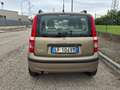 Fiat Panda 1.2 Active Gpl Brons - thumbnail 6