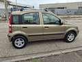Fiat Panda 1.2 Active Gpl Brons - thumbnail 4