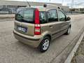 Fiat Panda 1.2 Active Gpl Brons - thumbnail 5