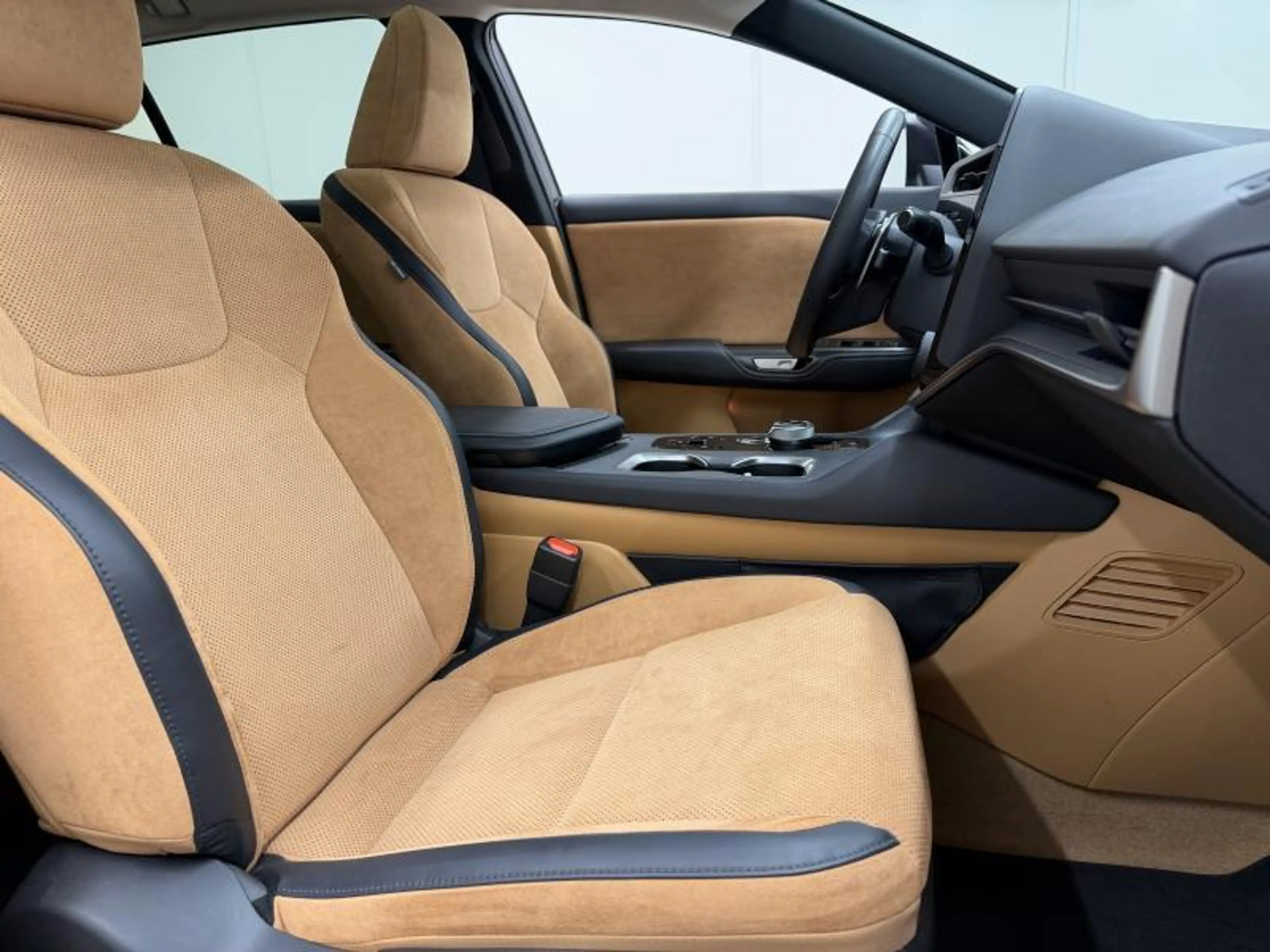 Lexus RZ Privilege Line — photo 13