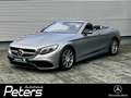 Mercedes-Benz S 63 AMG AMG S 63 4Matic Distr/360°/Navi/Nachts/Massage Gris - thumbnail 2