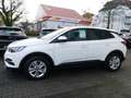 Opel Grandland 1.2 Turbo Edition incl.Big Deal Paket Weiß - thumbnail 5