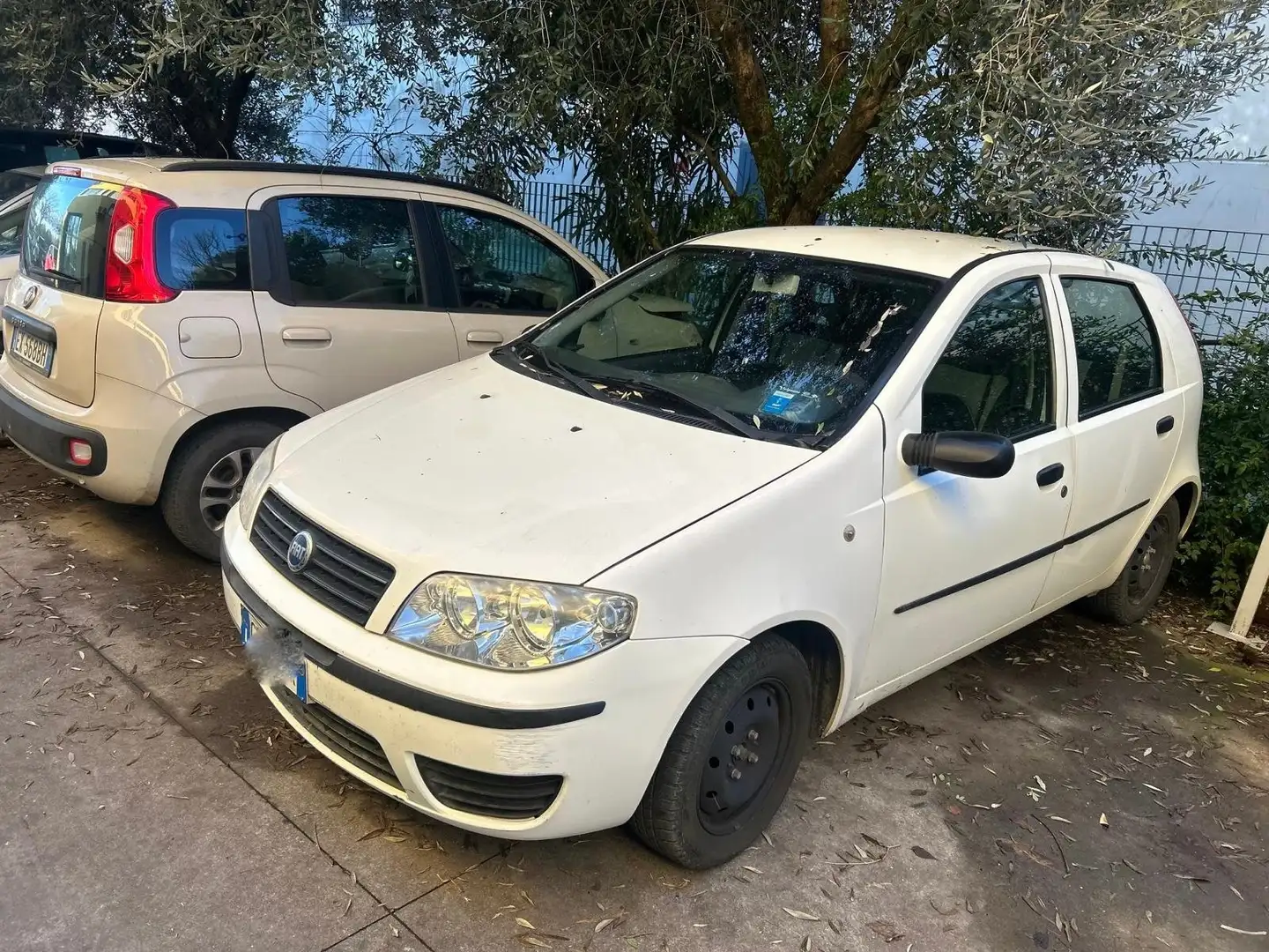 Fiat Punto Punto 5p 1.2 Dynamic Wit - 1
