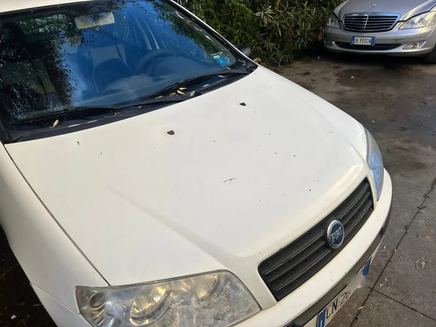 Fiat Punto Punto 5p 1.2 Dynamic Wit - 2