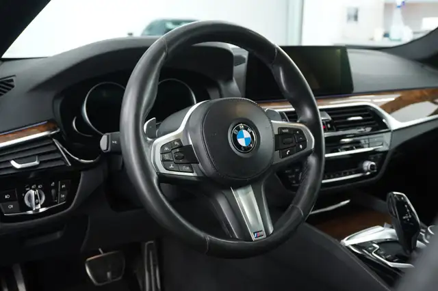 BMW 5 Series view 14