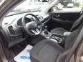 Kia Sportage Attract 2WD "LPG" Prinzanlage Grau - thumbnail 12