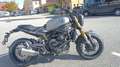 Benelli Leoncino 800 -TOP ANGEBOT/Tageszulassung Grau - thumbnail 2