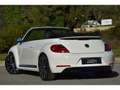 Volkswagen Coccinelle VOLKSWAGEN COCCINELLE CABRIOLET 1.4 TSI 160 SPORT DSG7 Bianco - thumbnail 7