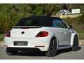 Volkswagen Coccinelle VOLKSWAGEN COCCINELLE CABRIOLET 1.4 TSI 160 SPORT DSG7 Bianco - thumbnail 2