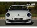 Volkswagen Coccinelle VOLKSWAGEN COCCINELLE CABRIOLET 1.4 TSI 160 SPORT DSG7 Bianco - thumbnail 8