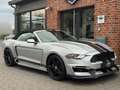 Ford Mustang 5.0 V8 Cabrio Shelby GT350-Paket/LED Argent - thumbnail 1