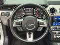 Ford Mustang 5.0 V8 Cabrio Shelby GT350-Paket/LED Argent - thumbnail 34
