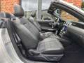 Ford Mustang 5.0 V8 Cabrio Shelby GT350-Paket/LED Argent - thumbnail 39