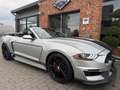 Ford Mustang 5.0 V8 Cabrio Shelby GT350-Paket/LED Argent - thumbnail 23