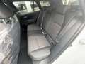 Toyota Corolla Touring Sports Hybrid 2.0 Hybrid Teamplayer Wit - thumbnail 10