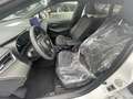Toyota Corolla Touring Sports Hybrid 2.0 Hybrid Teamplayer Wit - thumbnail 9