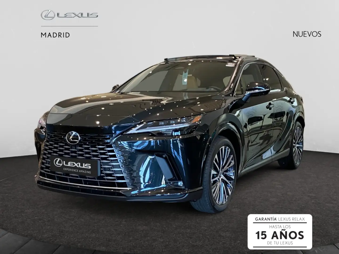 Lexus RX 450h 450h+ Executive Negro - 2