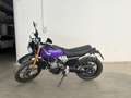 Fantic Caballero 500 Scrambler Mauve - thumbnail 5