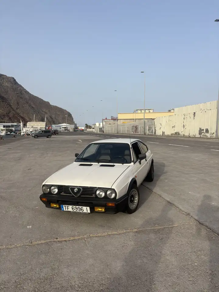 Alfa Romeo Alfasud, foto 2