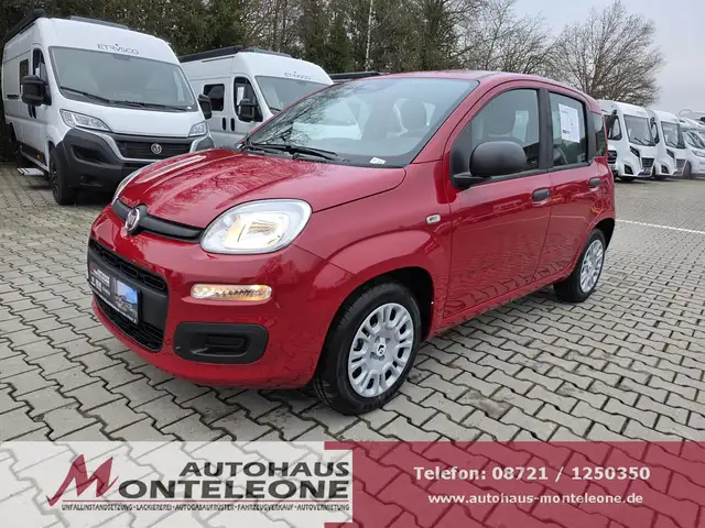 Fiat Panda Panda MY25 Pandina ICON Hybrid | PDC | 5 Sitze