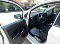 Ford EcoSport 1.0 EcoBoost ST Line 140 Blanc - thumbnail 9