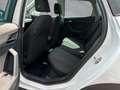 SEAT Arona 1.0 TSI Road Edition 85 KW (116 PS) 7-GANG DSG Nav Weiß - thumbnail 14